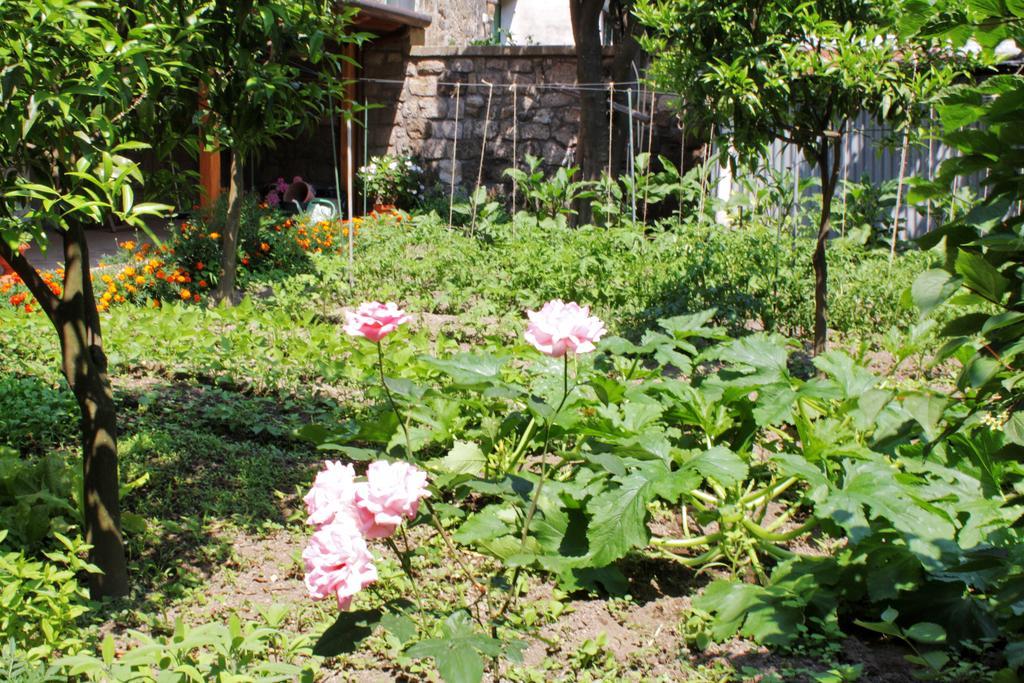 Bed and Breakfast Chez Chantal Мета Экстерьер фото